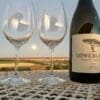 Viognier sunset Witgat Viognier 2024