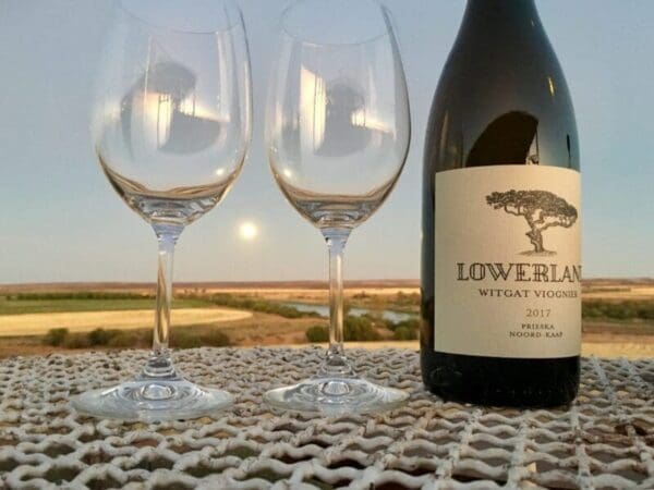 Viognier sunset Witgat Viognier 2024