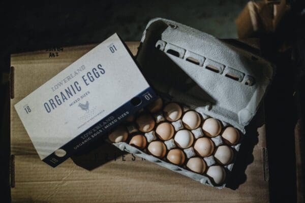Lowerland_Feb'2413 Fresh Pastured Eggs