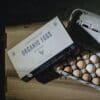 Lowerland_Feb'2413 Fresh Pastured Eggs