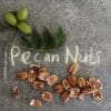Pecan nuts1 Pecan Nuts