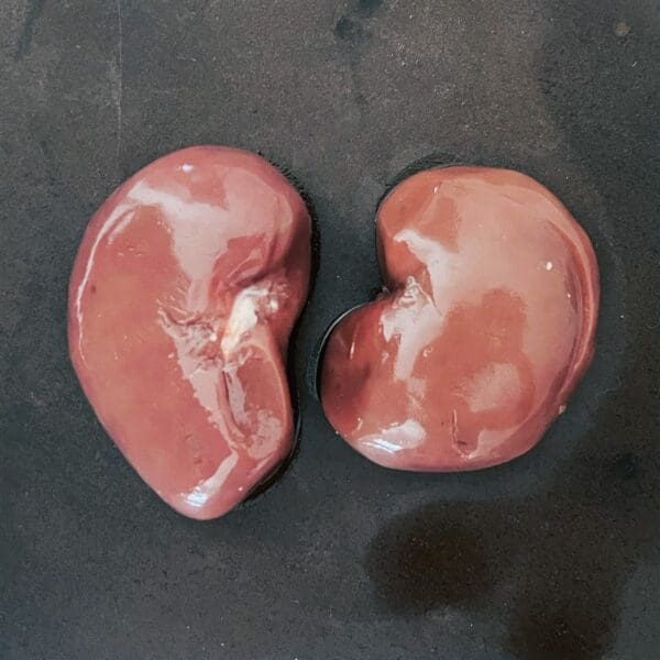 Sheep's Kidneys