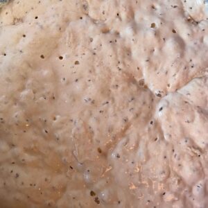 Dried sourdough starter (free)