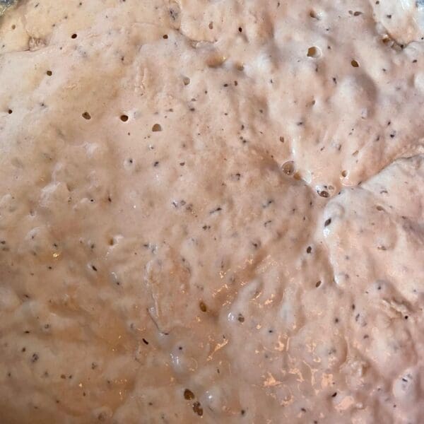 active starter Dried sourdough starter (free)