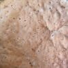 active starter Dried sourdough starter (free)