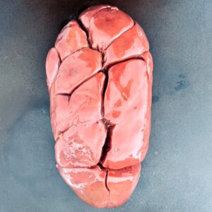 Beef Kidneys (whole)