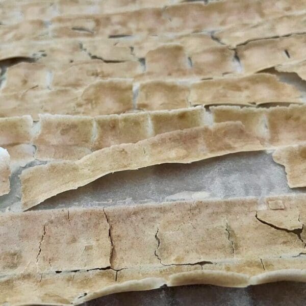 starter chips Dried sourdough starter (free)