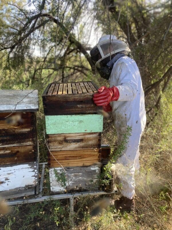 IMG_4169 Raw Honey