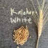 Whole Kernels