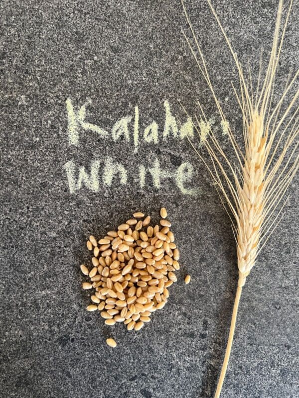 Whole Kernels