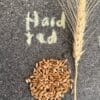 Whole Kernels