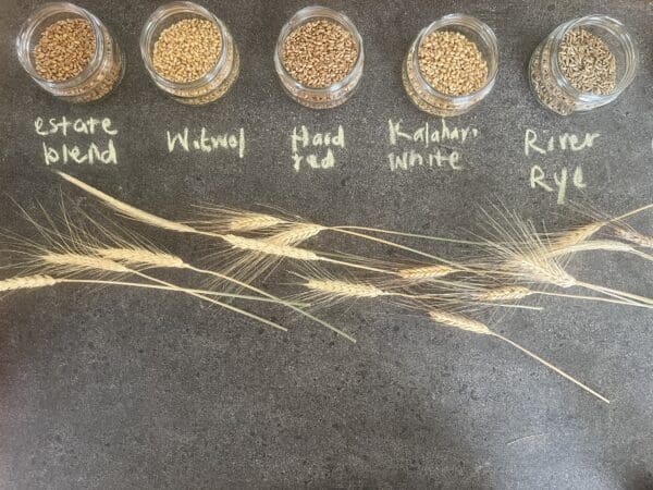 Whole Kernels