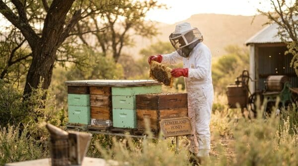 LL_BeekeepingAtWork Raw Honey