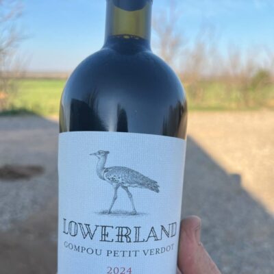 WhatsApp Image 2026-08-20 at 5.22.22 PM Gompou Petit Verdot 2024